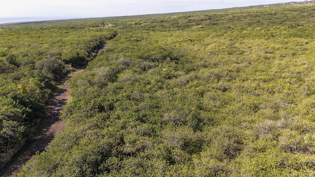 Kaalualu Rd, Naalehu, HI 96772