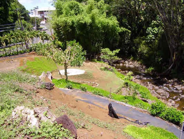 287 Wainaku St, Hilo, HI 96720 - view of property's community