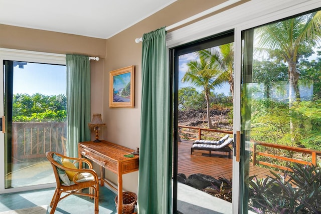 87-287 Kaohe Rd, Captain Cook, HI 96704 - view of doorway