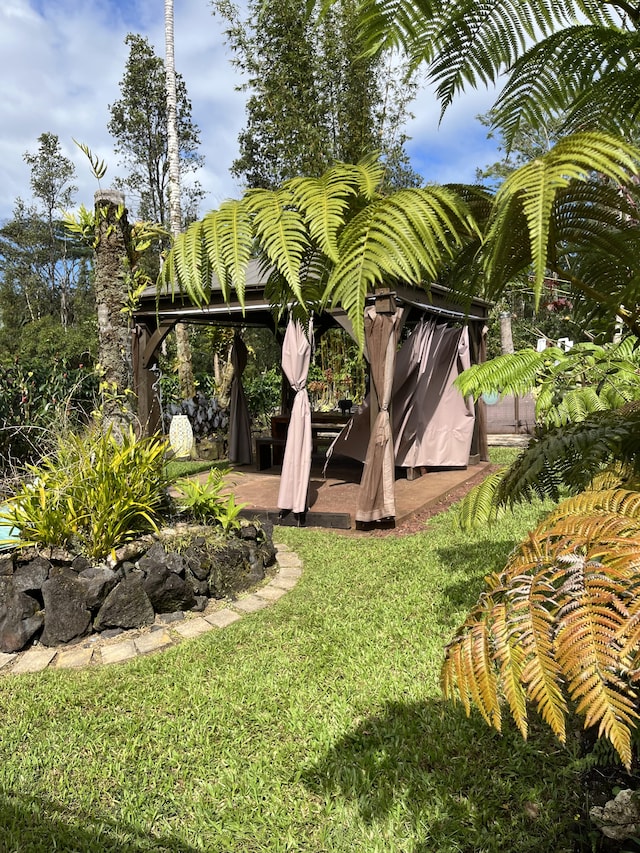 15-2037 24th Ave, Keaau, HI 96749 - view of green lawn featuring a patio area