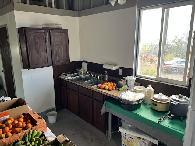 92-8305 Mamalahoa Hwy, Ocean View, HI 96737 - kitchen featuring a sink, dark brown cabinetry, and concrete flooring