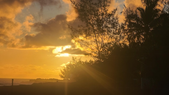 15-1023 Ala Heiau Rd, Keaau, HI 96749 - view of nature at dusk