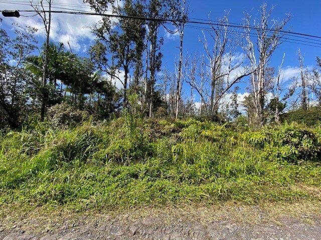 16-1740 38th Ave, Keaau, HI 96749 - photo 1