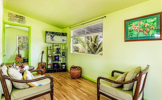 15-1688 18th Ave, Maia Keaau, HI 96749 - living area featuring plenty of natural light, wood finished floors, lofted ceiling, and baseboards