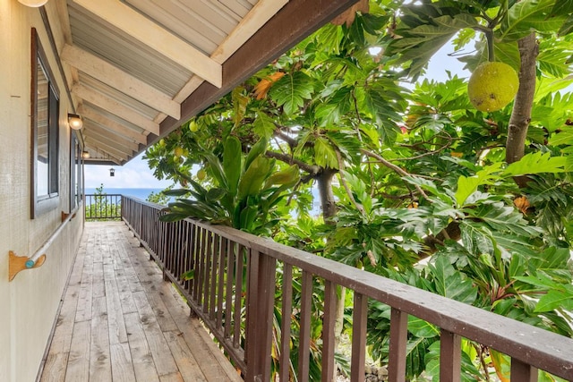 87-3207 Carissa Rd, Captain Cook, HI 96704 - photo 12