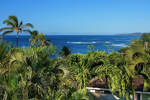 2261 Hoohu Rd, Koloa, HI 96756 - photo 17