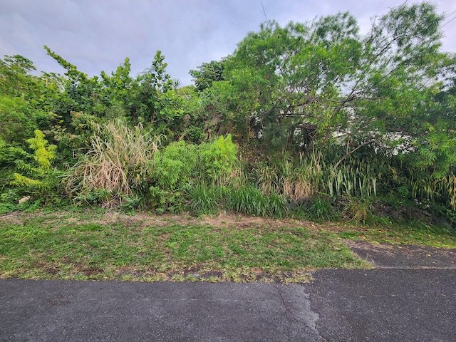 Datura Rd, Captain Cook, HI 96704