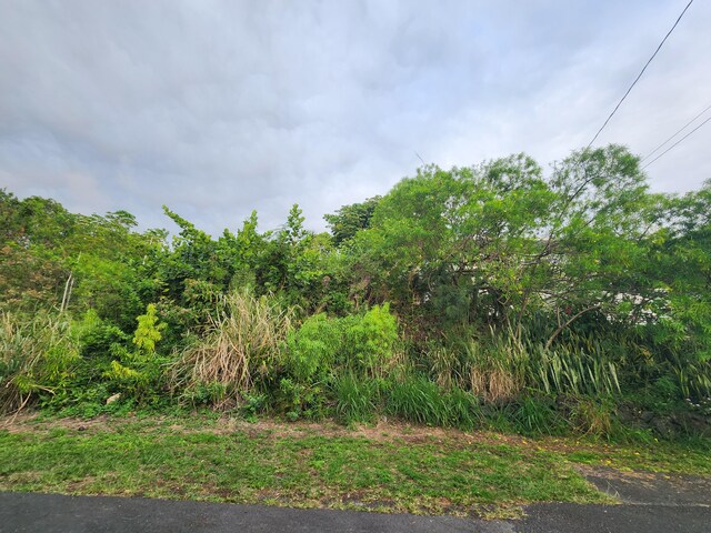 Datura Rd, Captain Cook, HI 96704