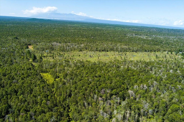 Mountain View, HI 96785