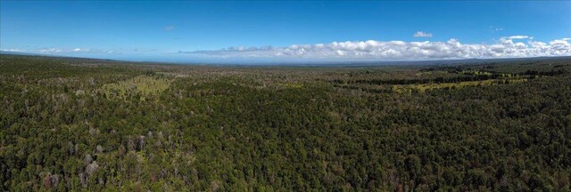 Mountain View, HI 96785
