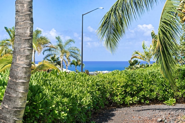 73-1060 Kuuleialoha Cir, Kailua-Kona, HI 96740 - water view