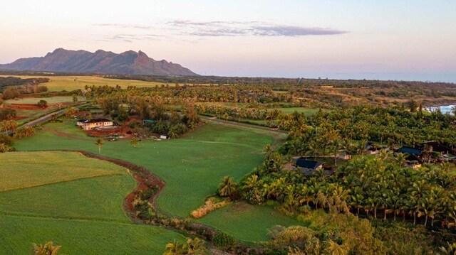 4365 Paliku Pl Unit 13A, Kealia, HI 96751