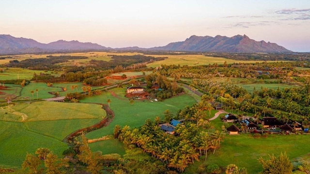 4365 Paliku Pl Unit 13A, Kealia, HI 96751