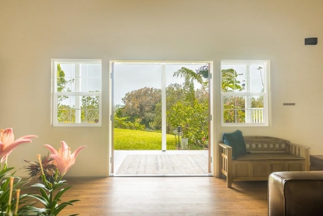 64-740 Punakea Pl, Kamuela, HI 96743 - doorway to outside featuring wood finished floors