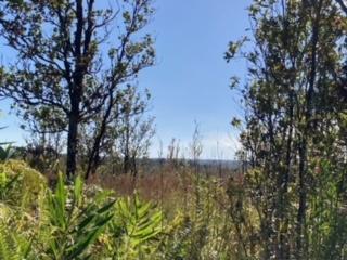 Laupaka Rd, Volcano, HI 96785