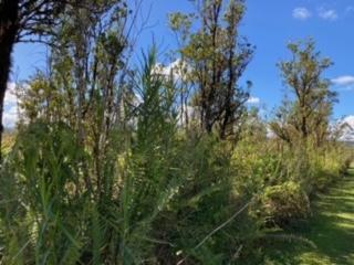 Laupaka Rd, Volcano, HI 96785
