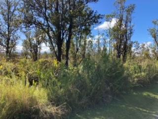 Laupaka Rd, Volcano, HI 96785