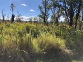 Laupaka Rd, Volcano, HI 96785