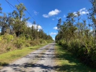 Laupaka Rd, Volcano, HI 96785