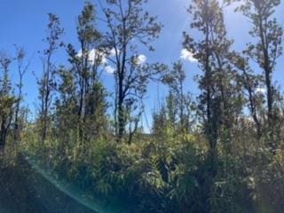 Laupaka Rd, Volcano, HI 96785