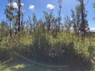 Laupaka Rd, Volcano, HI 96785