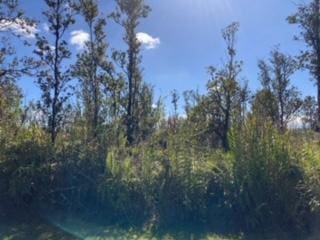 Laupaka Rd, Volcano, HI 96785