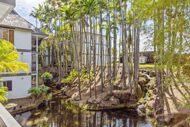400 Hualani St Unit 1205, Hilo, HI 96720 - view of yard