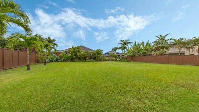 2344 Halalii Pl, Koloa, HI 96756 - view of yard