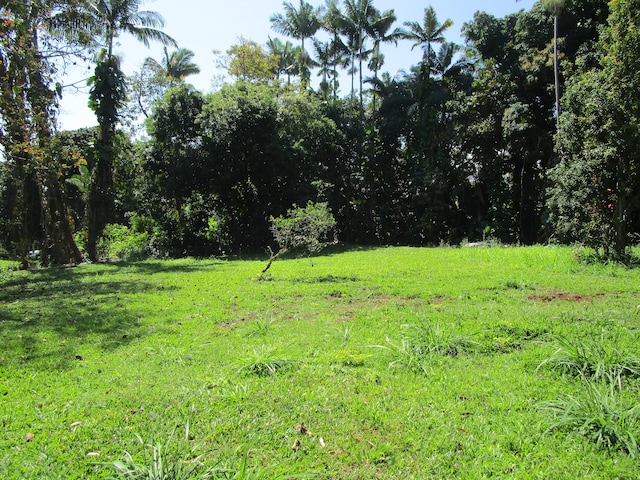 27-106 Ohanakupa Rd, Papaikou, HI 96781 - photo 25