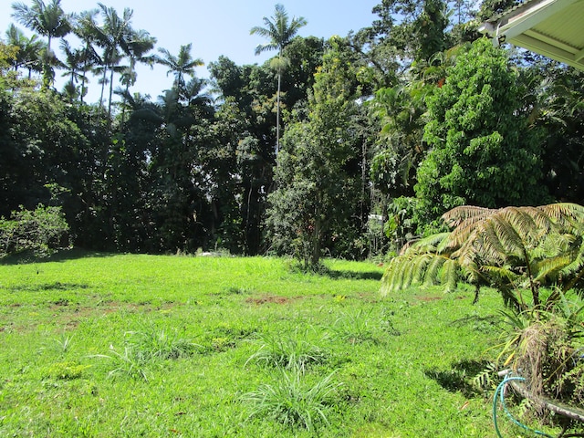 27-106 Ohanakupa Rd, Papaikou, HI 96781 - photo 26
