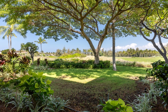 68-180 Waikoloa Beach Dr Unit J1, Waikoloa, HI 96738 - view of green lawn