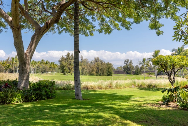 68-180 Waikoloa Beach Dr Unit J1, Waikoloa, HI 96738 - view of grassy yard