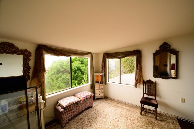 2239 Upper Kanaio Rd, Kula, HI 96790 - view of living area