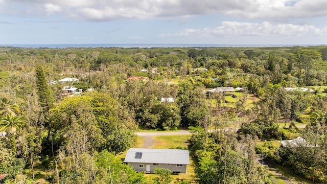 15-2042 14th Ave, Keaau, HI 96749 - drone / aerial view of a forest