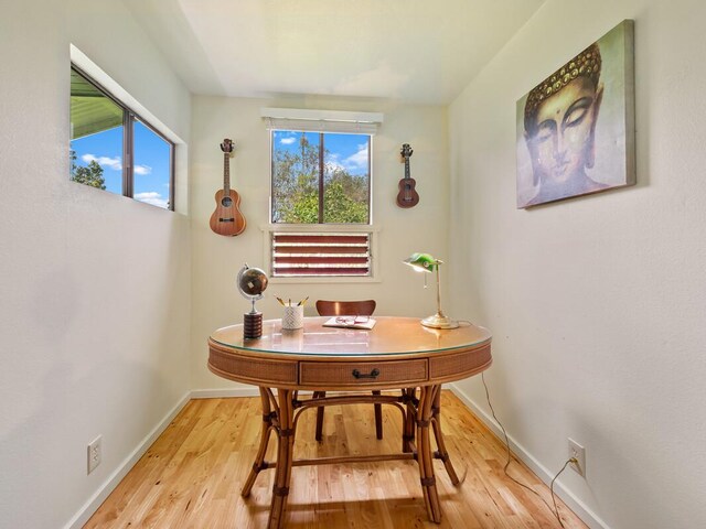 1174 Ainalako Rd, Hilo, HI 96720 - office area featuring plenty of natural light, baseboards, and light wood-style flooring