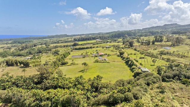 29-2584 Kaiwiki Homestead Rd, Hakalau, HI 96710 - photo 8