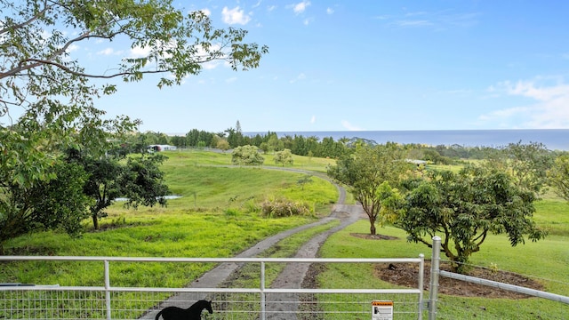 29-2584 Kaiwiki Homestead Rd, Hakalau, HI 96710 - photo 30