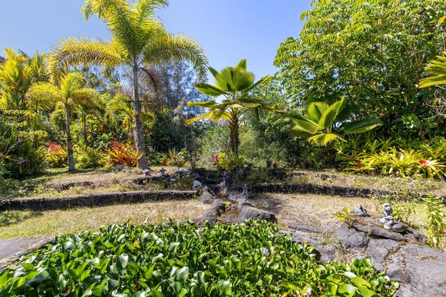 15-924 Paradise Ala Kai Dr, Keaau, HI 96749
