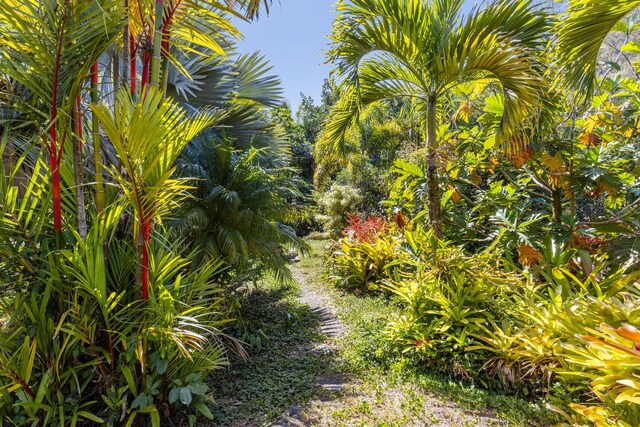 15-924 Paradise Ala Kai Dr, Keaau, HI 96749