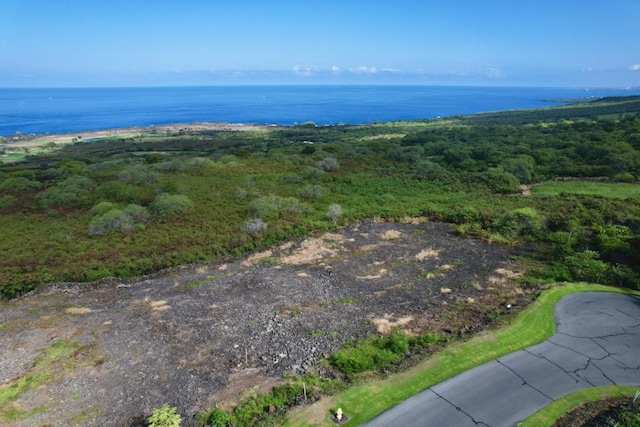 81-6691 Pakaukani Pl, Kealakekua, HI 96750
