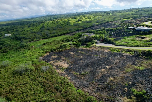 81-6691 Pakaukani Pl, Kealakekua, HI 96750