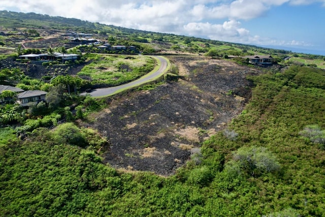 81-6691 Pakaukani Pl, Kealakekua, HI 96750