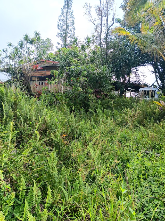 16-2062 Hapuu Dr, Pahoa, HI 96778 - view of yard