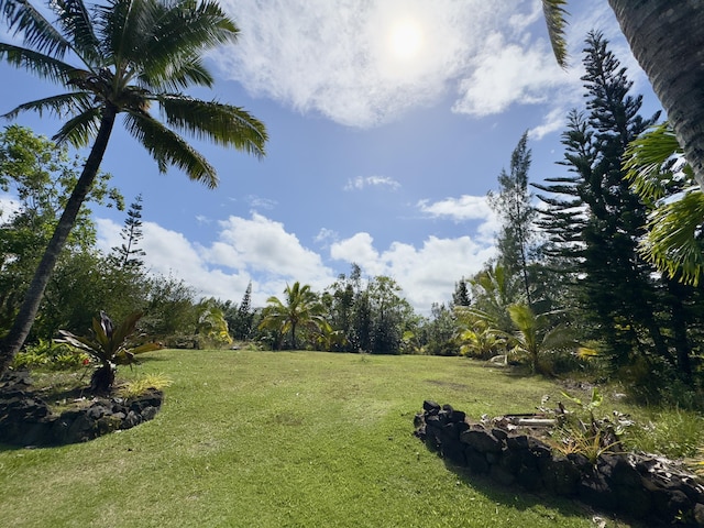 15-1988 1st Ave, Akala Keaau, HI 96749 - view of green lawn