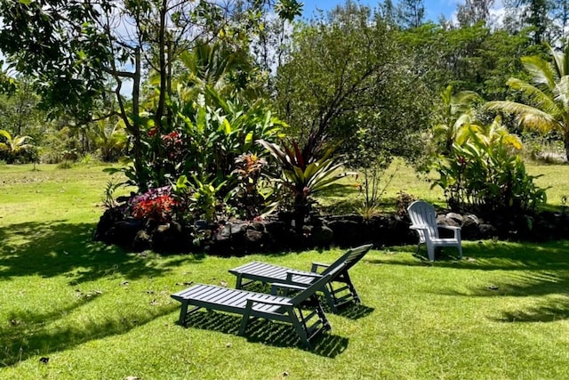 15-1988 1st Ave, Akala Keaau, HI 96749 - view of community with a yard