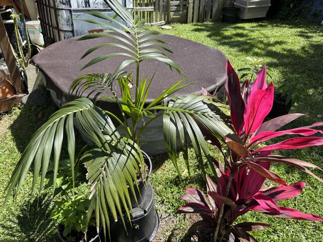 16-1572 36th Ave, Keaau, HI 96749 - photo 13