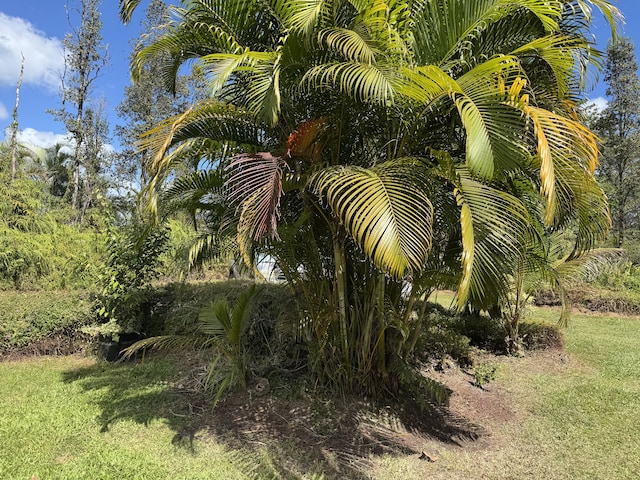 16-1572 36th Ave, Keaau, HI 96749 - photo 20