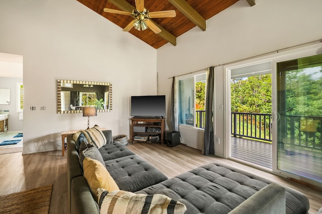 3968 Pai St, Kalaheo, HI 96741 - living area with wooden ceiling with exposed beams, wood finished floors, a ceiling fan, and high vaulted ceiling