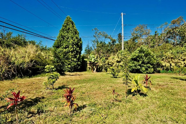 15-1536 11th Ave, Keaau, HI 96749