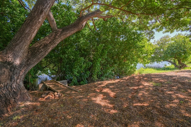 1-3580 Kaumualii Hwy, Hanapepe, HI 96716 - view of nature